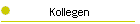 Kollegen